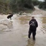 Διάσωση σκύλων ποταμός Χαλκιδική