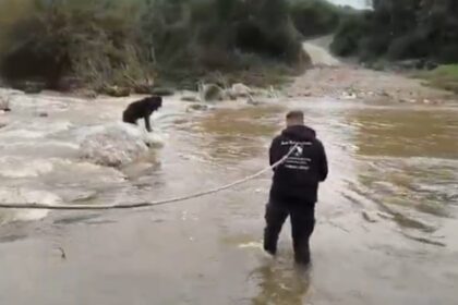 Διάσωση σκύλων ποταμός Χαλκιδική