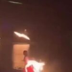 Πυροσβέστες διασώζουν αλεπού από δεξαμενή Λαμία