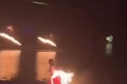 Πυροσβέστες διασώζουν αλεπού από δεξαμενή Λαμία