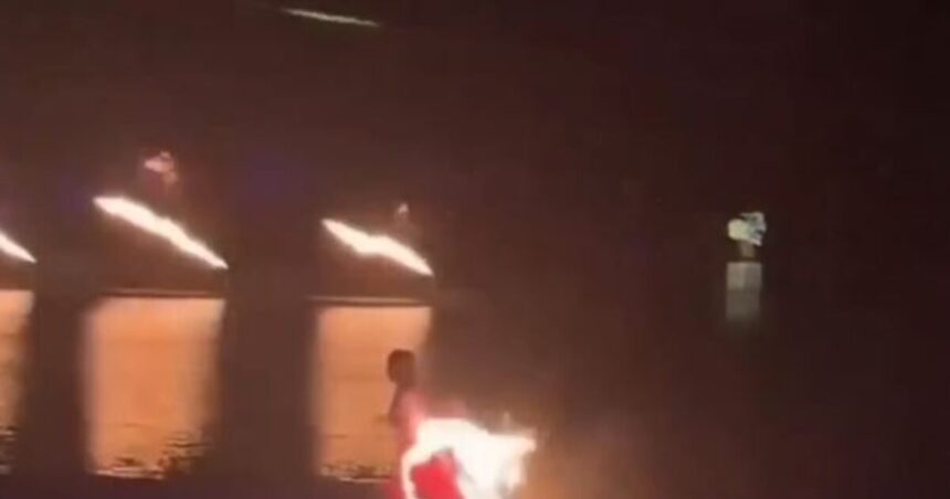 Πυροσβέστες διασώζουν αλεπού από δεξαμενή Λαμία