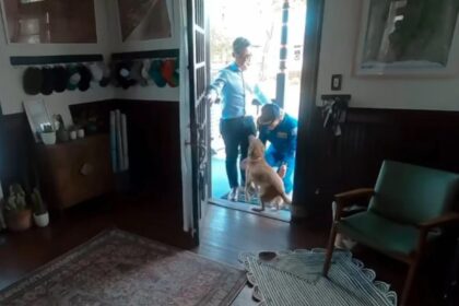 Αστροναύτης Artemis II κάνει αγκαλιά σκύλο Sadie