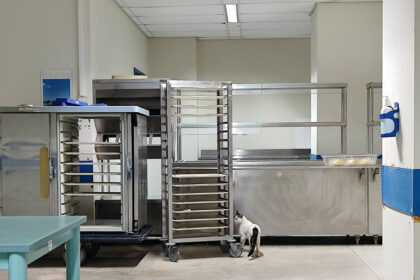 αδέσποτα γατιά Ρόδου σημείο σίτισης