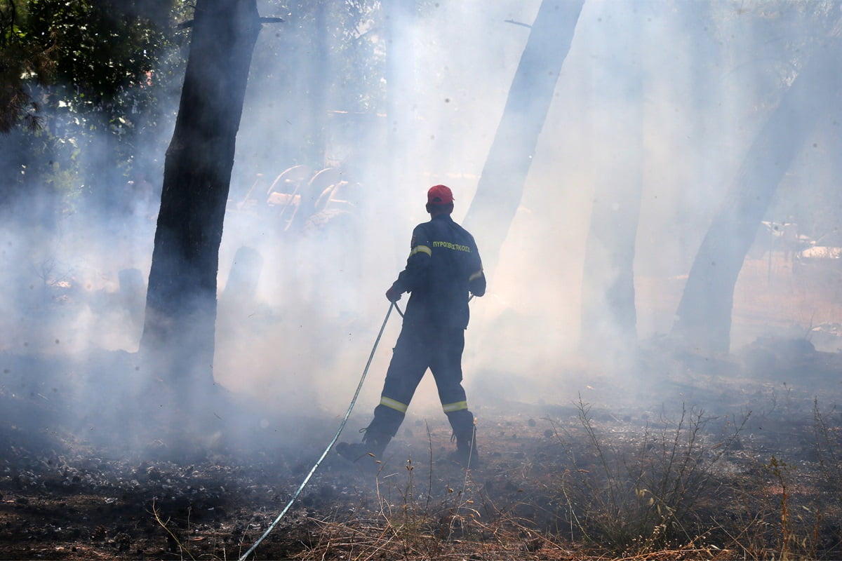 Φωτιά Νεοχώρι Πηλίου με εναέρια μέσα