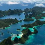 Ράτζα Αμπάτ βιοποικιλότητα Ράτζα Αμπάτ