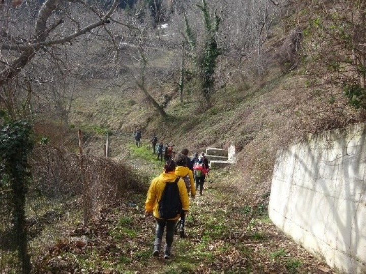 Ρόδος ζημιές κακοκαιρία Erminio υπαίθρου