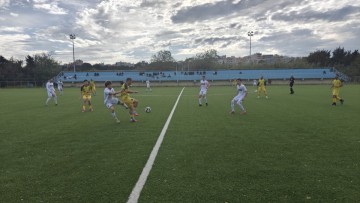 Κεντρική Επιτροπή ΠΑΣΟΚ σε συνεδρίαση με Ανδρουλάκη