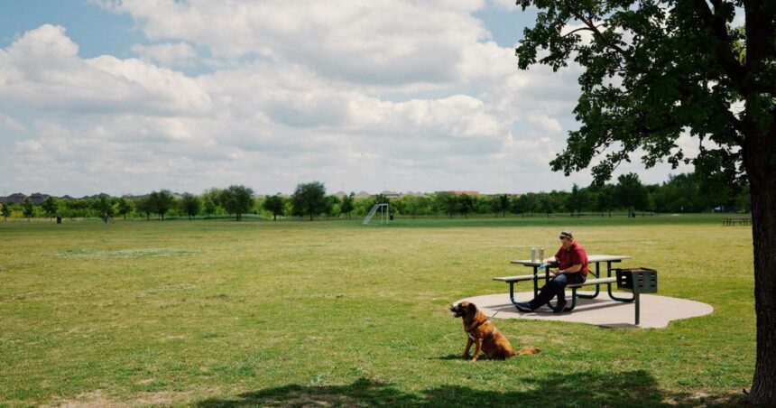 20 λεπτά στη φύση βόλτα park υγεία