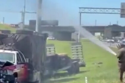 φορτηγό με ένα εκατομμύριο μέλισσες ανετράπη Τενεσί