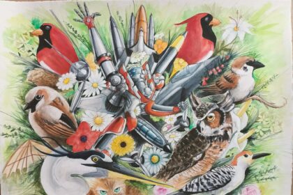 έκθεση φωτογραφίας φύσης Λόφος Art Project Δαλαγιώργου