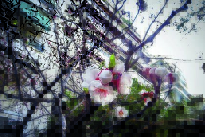 καιρός 20 Απριλίου πρόγνωση ΕΜΥ με τοπικές βροχές