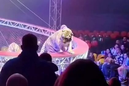 πλεούμενο Καραϊβική επίθεση ΗΠΑ