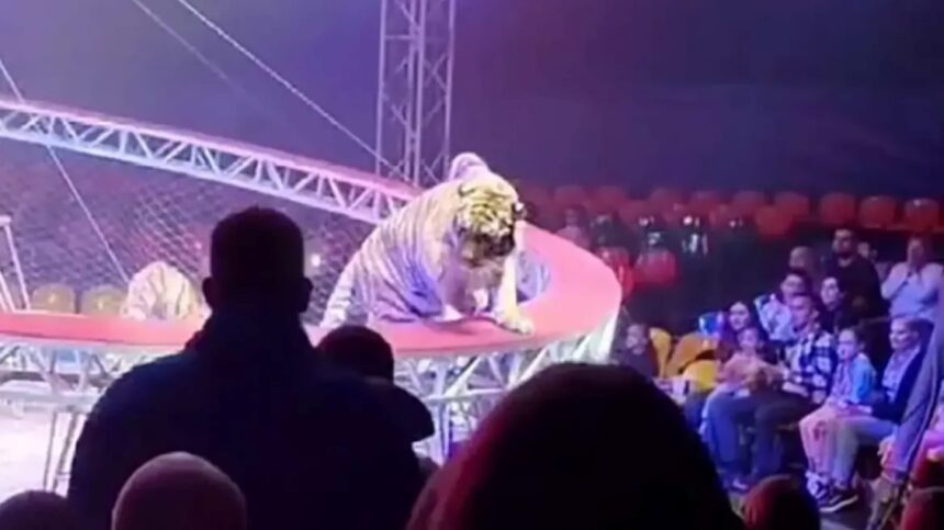 πλεούμενο Καραϊβική επίθεση ΗΠΑ