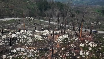 μεγάλη φωτιά Ρόδος εκκένωση τουριστών