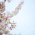 Πανσέληνος 1η Μαΐου στον Ζυγό επηρεάζει ζώδια