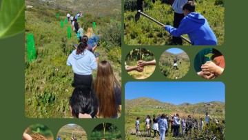 Μαθητές 17ο Δημοτικό Ρόδου στη δεντροφύτευση Υψενής