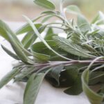 ανάκληση Moringa σκόνη λόγω σαλμονέλας
