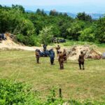 Αναβίωση Ρούπελ 1941 στο Οχυρό Ρούπελ