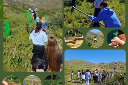 Μαθητές 17ο Δημοτικό Ρόδου στη δεντροφύτευση Υψενής