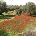 Ο ρουκετοπόλεμος φωτίζει τον ουρανό Βροντάδου