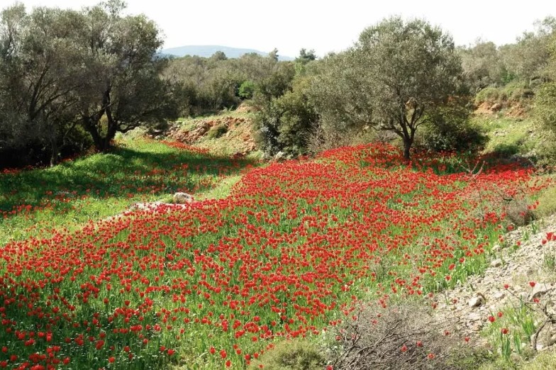 Ο ρουκετοπόλεμος φωτίζει τον ουρανό Βροντάδου