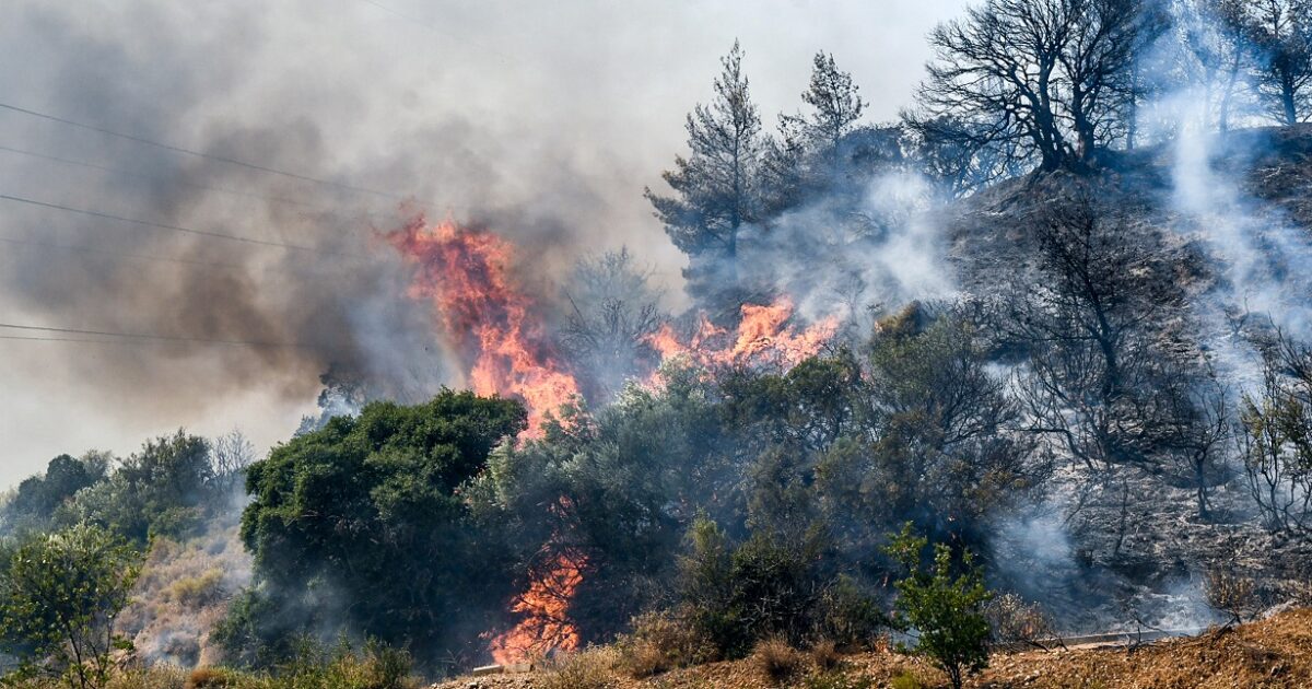 Φωτιά Νεοχώρι Πηλίου με εναέρια μέσα
