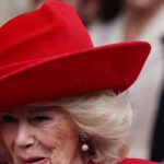 Σελίνα Μπράουν Εθνική Ηρωίδα Ανάγνωσης μετάλλιο