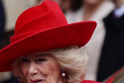 Σελίνα Μπράουν Εθνική Ηρωίδα Ανάγνωσης μετάλλιο