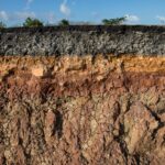 ΔΕΗ και γεωποικιλότητα: πράσινη μετάβαση ΔΕΗ γεωποικιλότητα