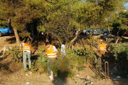 ΚΥΑ ακαθάριστα οικόπεδα προθεσμία 15 Ιουνίου