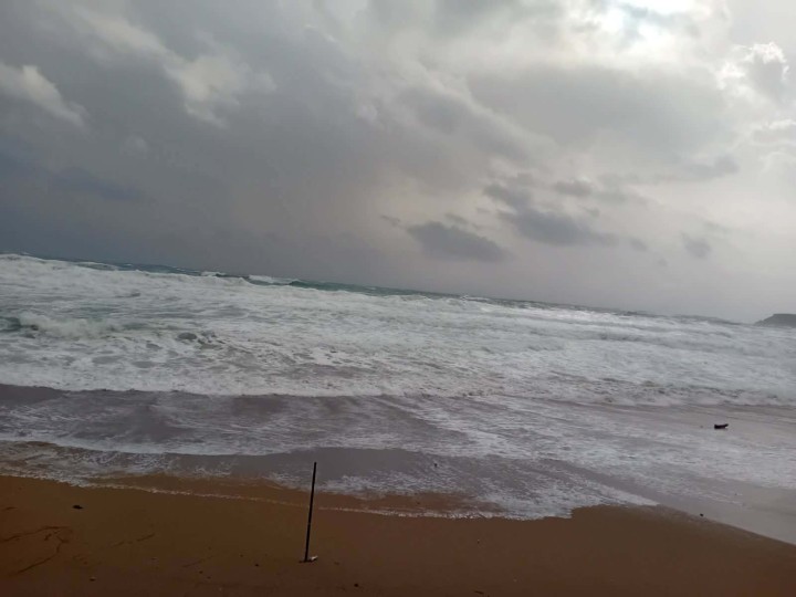 θυελλώδεις άνεμοι Ρόδο καταστροφές δέντρα