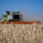 πλοίο με σιτηρά στη Χάιφα σιτηρά Χάιφα