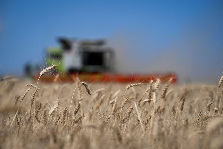 πλοίο με σιτηρά στη Χάιφα σιτηρά Χάιφα