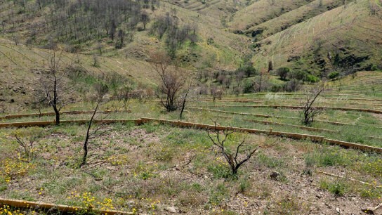 αντιπλημμυρικά έργα Χίου πρόοδος και αριθμοί