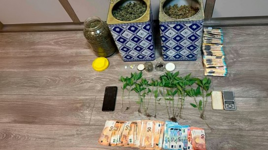 Καλλιέργεια κάνναβης Ιωάννινα κατάσχεση 22 φυτών