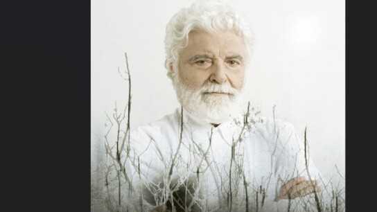 Stoiximan ανανέωση brand identity κοινωνική ευθύνη