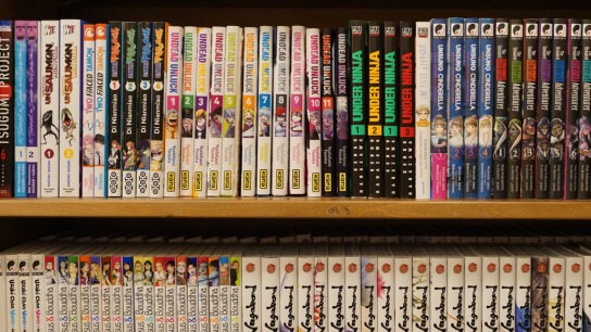 Εξάρθρωση παράνομης πλατφόρμας manga στα ισπανικά