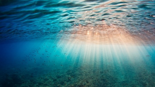 Ωκεανοί ρεκόρ θερμοκρασίας κύμα ζέστης Ελ Νίνιο