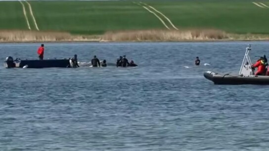 φάλα ινα Τίμι σε μαούνα μεταφορά στα βαθιά