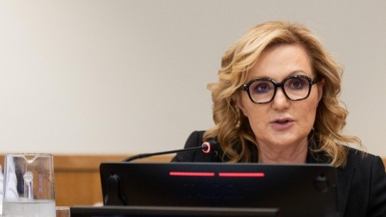 Βάτραχος της Καρπάθου σε υγροτοπικό βιότοπο