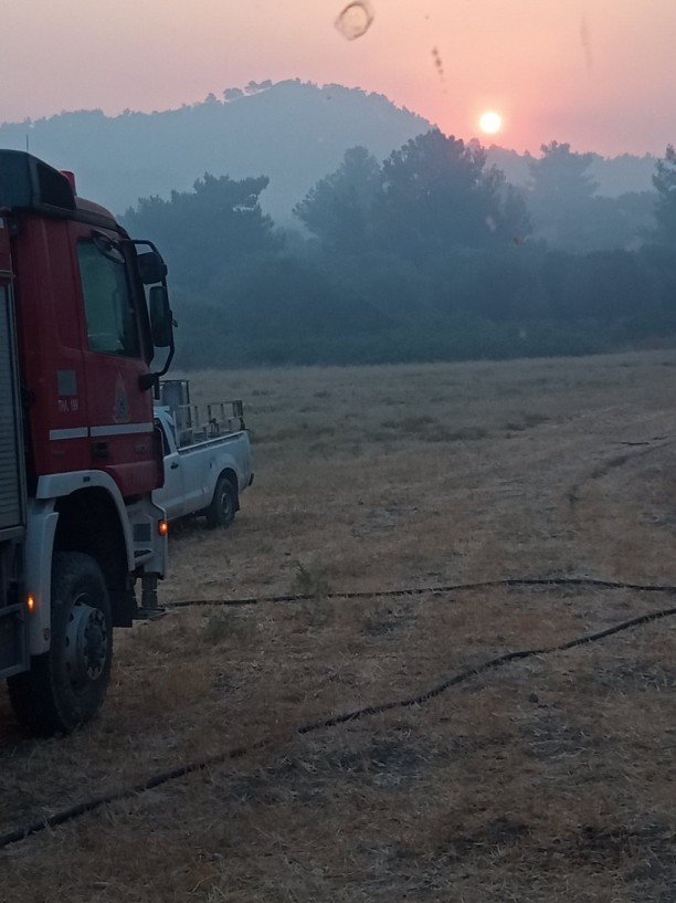 εμπρησμός Σορωνή φωτιά 1 Αυγούστου 2021