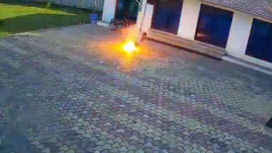 ηλεκτροπληξία μαϊμού περιστατικό Μαντία Πραντές