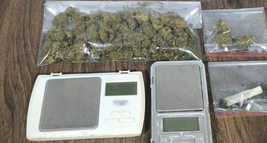 Σύλληψη κάνναβης στην Ημαθία Αλεξάνδρεια