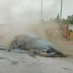 Άσκηση Πυροσβεστικής Σερρών με απεγκλωβισμό