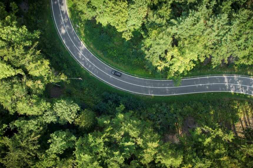 Τάκης Λεμονής προπονητής Ραντνίτσκι αποχώρηση