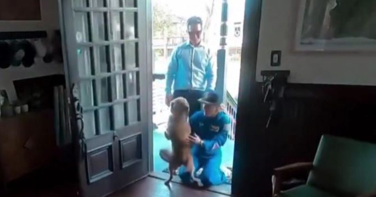 Αστροναύτης Artemis II κάνει αγκαλιά σκύλο Sadie