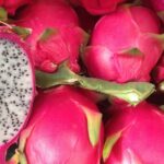 Vilson Vogel και 450 δέντρα dragonfruit