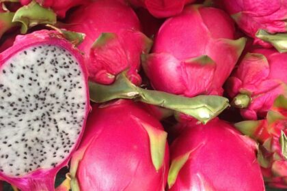 Vilson Vogel και 450 δέντρα dragonfruit