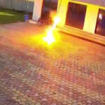 ηλεκτροπληξία μαϊμού περιστατικό Μαντία Πραντές