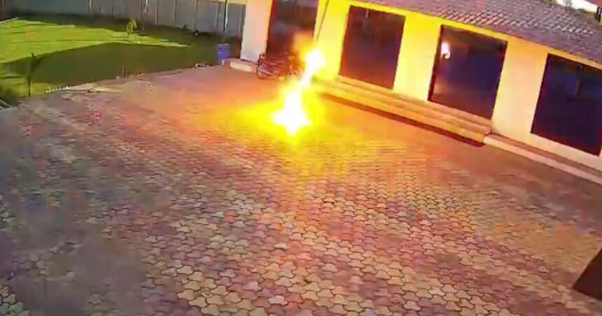 ηλεκτροπληξία μαϊμού περιστατικό Μαντία Πραντές